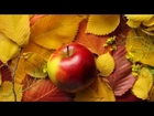 Beautiful pictures of autumn season | Mr. Picture