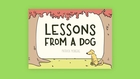Lessons From A Dog Book Trailer