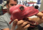 SynDaver Synthetic Canine Crowdfunding Campaign