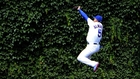 Almora slams into the ivy for the grab