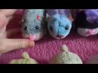 My Zhu Zhu Pets hamsters #2