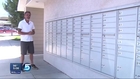 Mailman Surprises Him With Hundreds Of Books