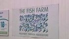 Fish farmer brings science of aquaculture to urban poor