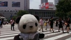 Japanese travel agency takes stuffed toys on tours