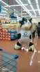 The Supermarket Cow Dance