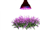 Review: TaoTronics® E27 12W Led Grow Light TT-GL20 Red Blue LED