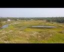 Beauty of Nature -  paddy fields in Kerala