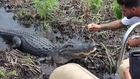 Miccosukee Tribe Alligator Handler