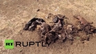 Ukraine: Corpses and destroyed vehicles left behind in Lutugino *GRAPHIC*