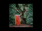 James Holden & The Animal Spirits - Each Moment Like The First