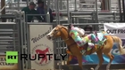 US: Gay rodeo celebrated in Denver