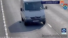 Footage: Cat survives many near misses on Russian highway