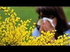 Why Are Some Adults Developing Allergies?