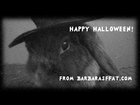 Happy Halloween from Barbara's Force Free Animal Training