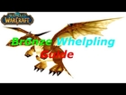 WoW: Bronze Whelpling Guide 6-10k! Best Route To Farm New Pet! 6.0.2