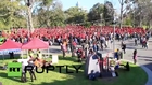 Australia: Thousands take part in Kate Bush dress-up day