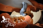 STIFF-FLOP robotic surgery
