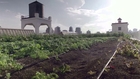 “Brooklyn Farmer” by Michael Tyburski (Excerpt) - NOWNESS