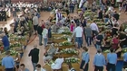 Italy holds state funeral for victims of earthquake