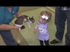 Little Girl With Missing Arm Adopts Three-Legged Kitten