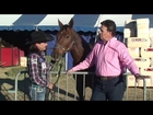 The Horse Show Interviews Christy Loflin