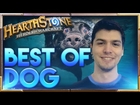 Hearthstone Best of Dog | Hearthstone Funny Lucky Fail Best Plays | Dog Hearthstone Moments