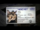 CHHS Hero Pets
