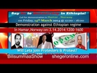 Demonstration Against Ethiopian government in Hamar,Norway:3.14.2014