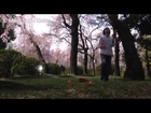 Cherry Blossom Juggling in Tokyo.......