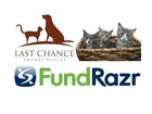 Last Chance Animal Rescue saves cats and dogs with FundRazr
