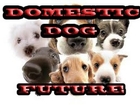 DOMESTIC DOG FUTURE - UGLY DOG