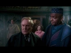 Harry Potter and the Order of the Phoenix: Fawkes rescues Dumbledore.