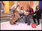 Lion tries to Kill Baby on live TV but Mother just LAUGHS
