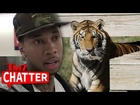 Tyga: Expensive Pet Tiger Ain't MY Problem Now (VIDEO)