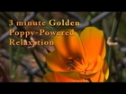 3 minute Golden Poppy-Powered Relaxation