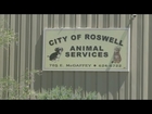 City stops animal rescue inspections