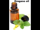 Oil of Oregano Origanum vulgare