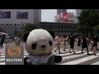 Japanese travel agency takes stuffed toys on tours