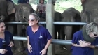 Woman Freaks Out Meeting Elephant