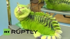 Russia: Meet Vas’ka, the green DRAGON cat