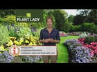 The Plant Lady Pt 4