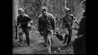 Brutal Jungle Combat With Japanese - 1941