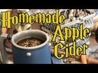 Apple Cider DIY for Your Halloween Party or Harry Potter Lifestyle - Holly Hobby