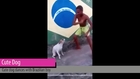 Cute dog dances with Brazilian boy
