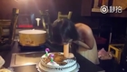 Girl treated  with penis cake by co-workers at birthday party