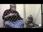 Kind vet eats breakfast in cage with scared rescue dog