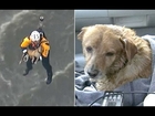 Dog pulled from LA river in dramatic helicopter rescue