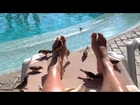 The birds in Cape Verde love smelly feet lol