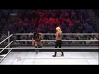 WWE Diva Kaitlyn Leaves World Wrestling Entertainment