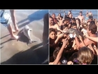 Baby Dolphin Dies Being Passed Around For Selfies